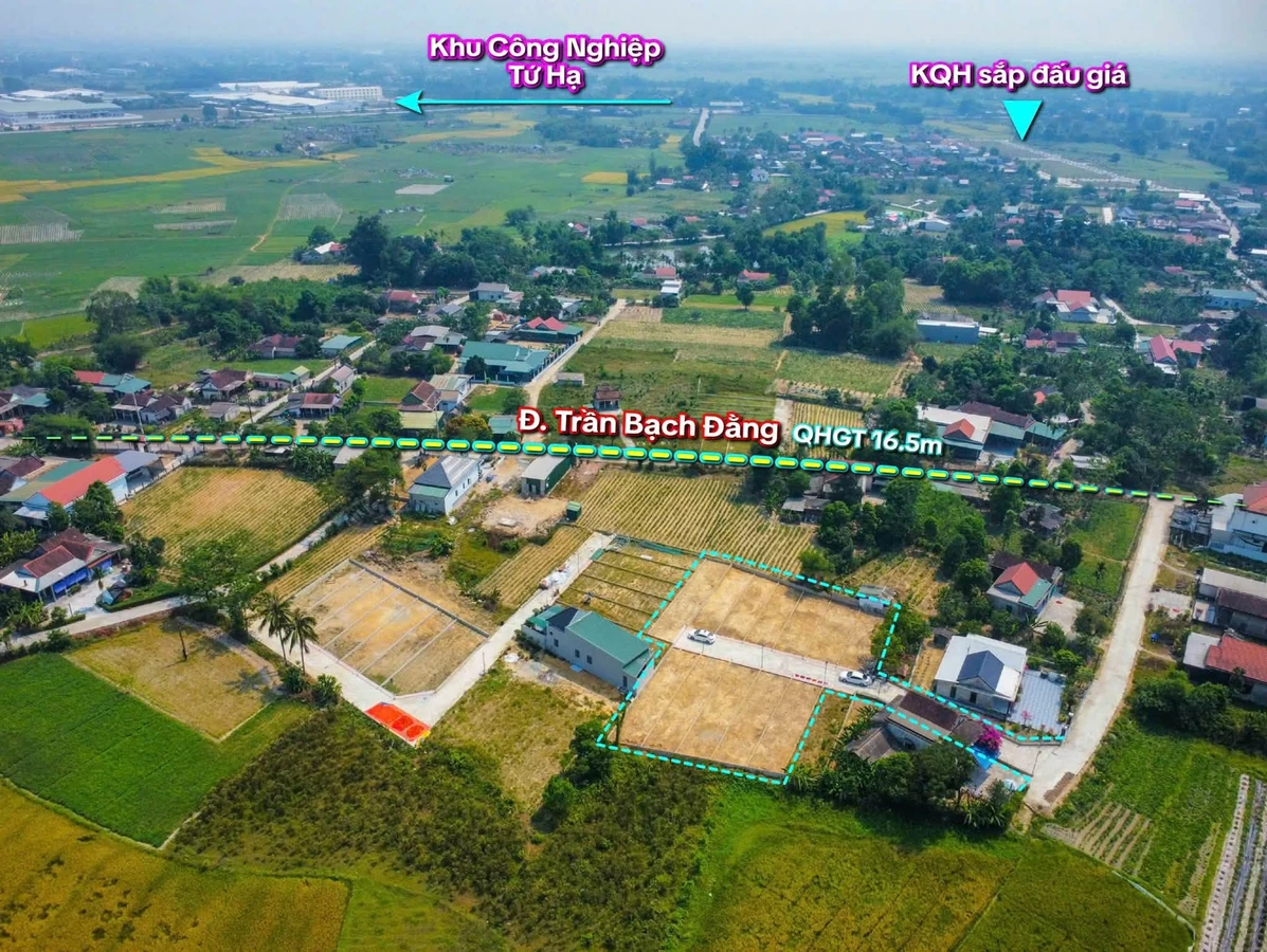 Bán đất Trần Bạch Đằng 138m² giá 500 triệu - Ảnh thu nhỏ 3