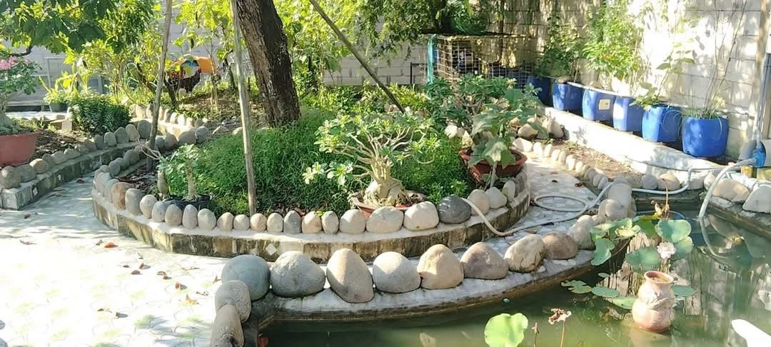 Bán đất 530m² có sân vườn hồ bơi tại Phú Hưng, Bến Tre giá 1,25 tỷ - Ảnh thu nhỏ 5