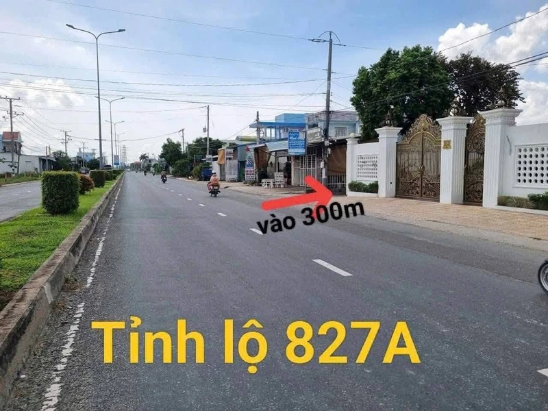 Bán đất nông nghiệp 2000m² tại Xã Vĩnh Công, Châu Thành, Long An