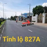 Bán đất nông nghiệp 2000m² tại Xã Vĩnh Công, Châu Thành, Long An - Ảnh thu nhỏ 1