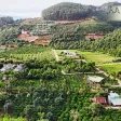 Bán 2 lô đất liền kề ven Đà Lạt, đường ô tô, Diện tích 368371m², sổ hồng riêng - Ảnh thu nhỏ 12