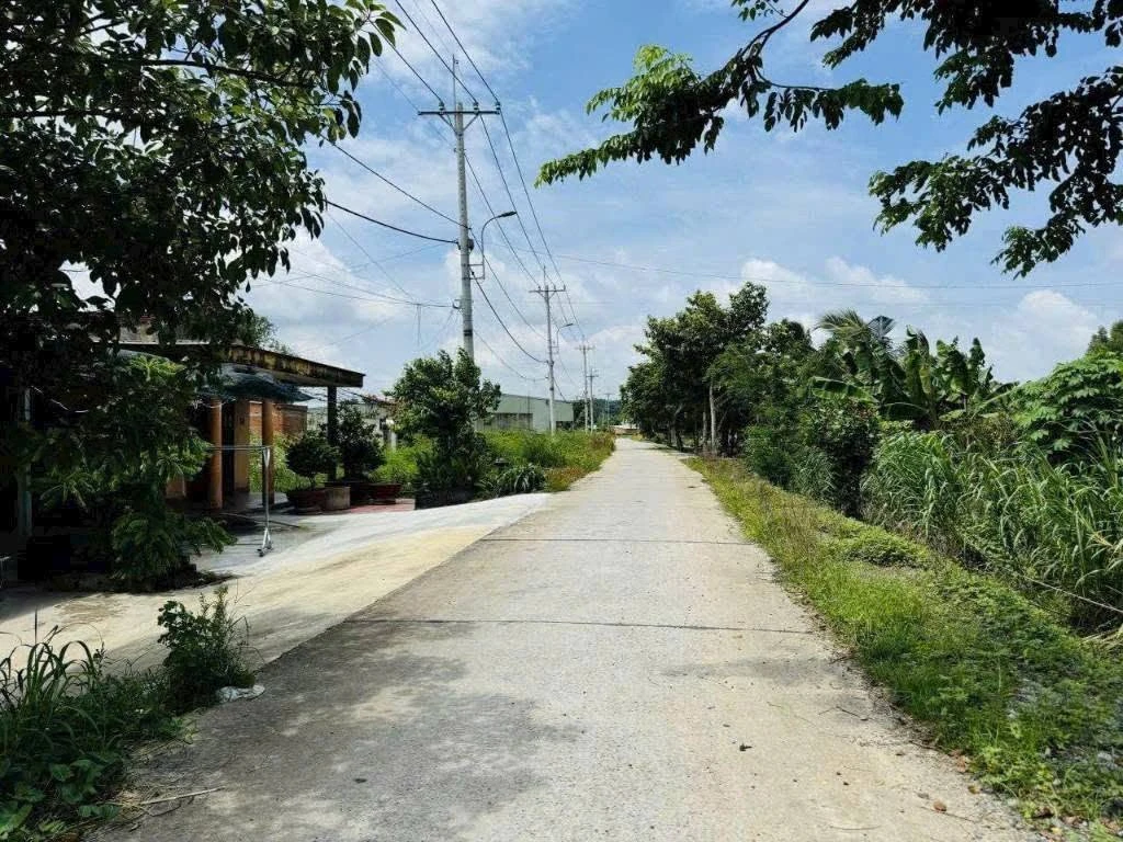 Bán nhà vườn 2600m2, giá 320 triệu, gần chợ Trường - Ảnh thu nhỏ 3