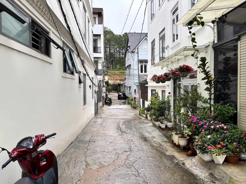 Bán đất Nguyễn Công Trứ, Đà Lạt 48,2m²