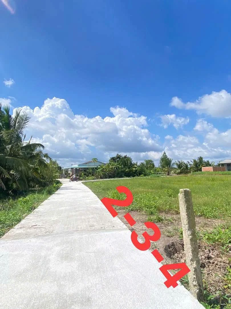 Bán 3 lô đất thổ cư 125m² Hòa Phú, Long An 430 triệu/lô - Ảnh thu nhỏ 4
