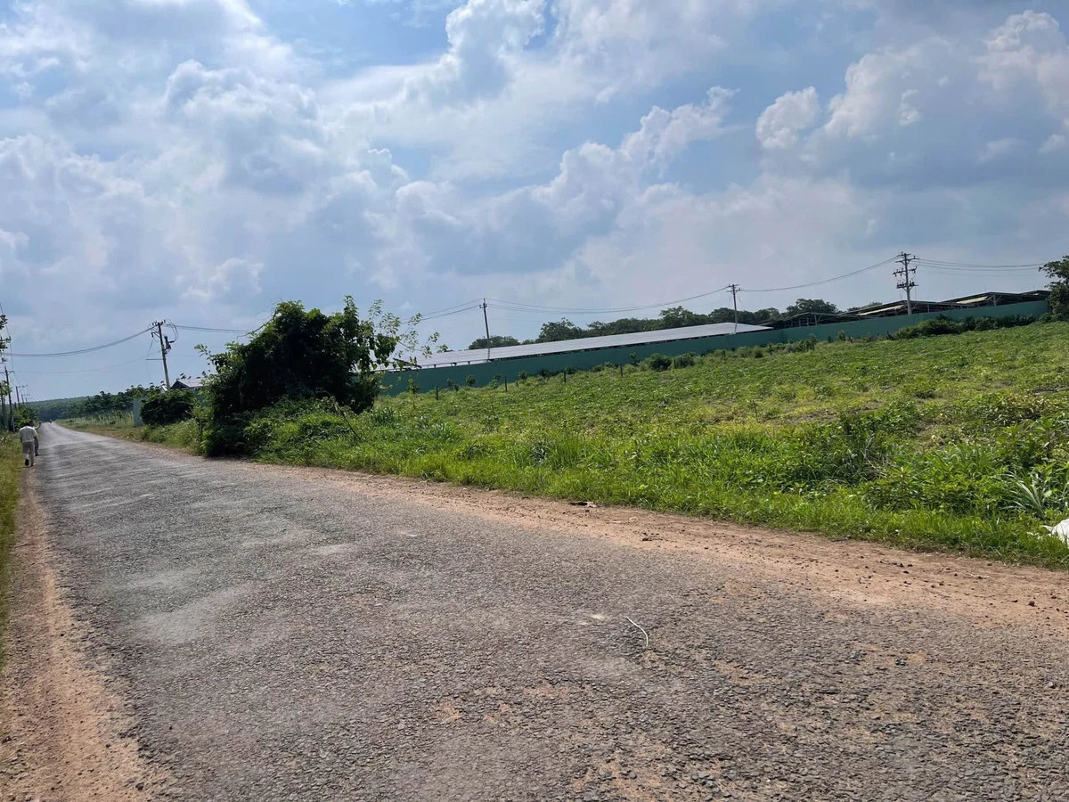 Bán đất dự án 24 lô liền kề 14.000m² Phú Riềng, Bình Phước - Ảnh thu nhỏ 2