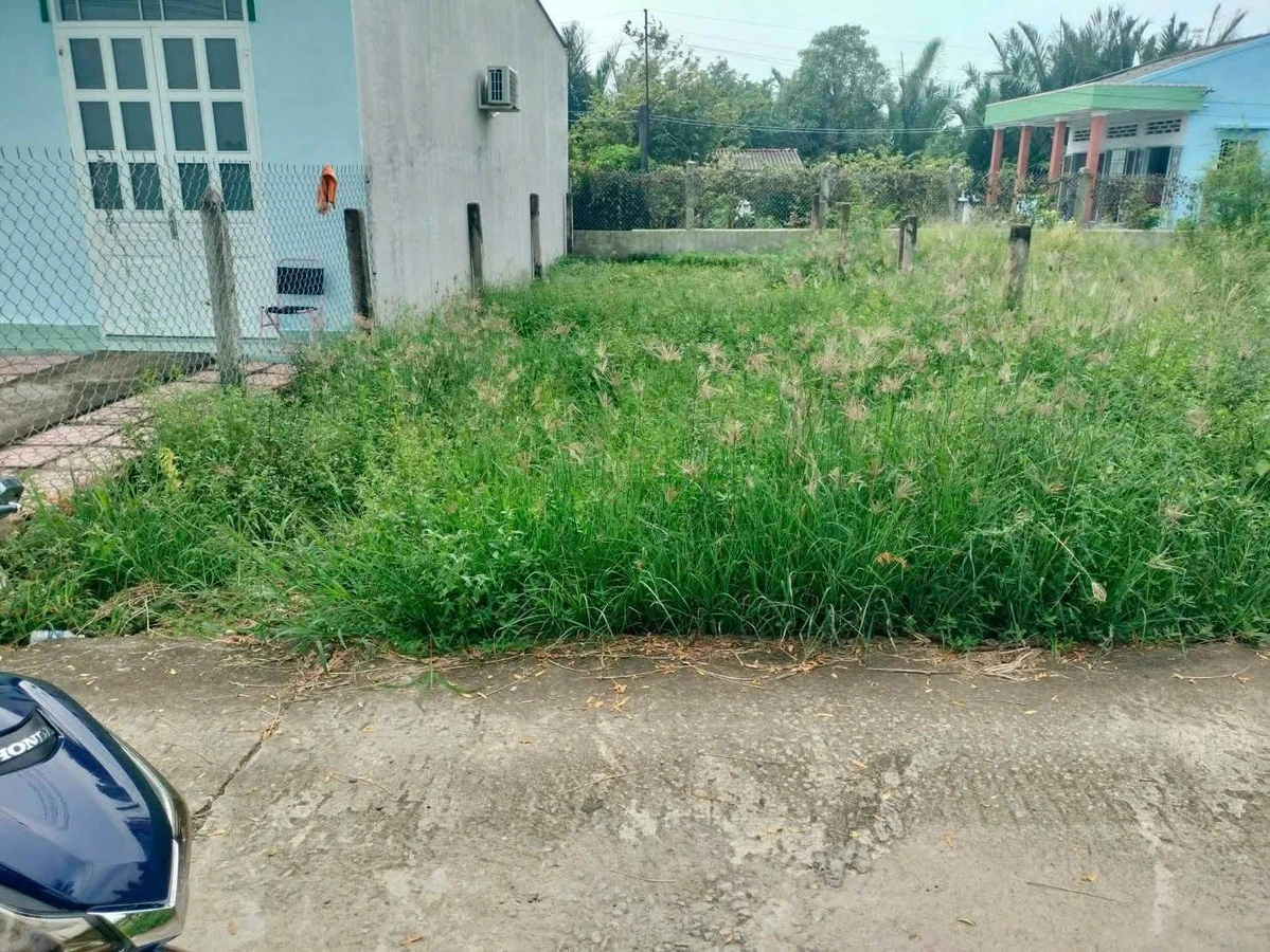Bán đất Tân Trung Gò Công Tiền Giang 85m² 260 triệu - Ảnh thu nhỏ 3