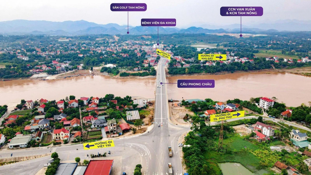 Bán đất 150m2 full thổ cư 1,645 tỷ mặt đường Tỉnh Lộ 315, Tam Nông, Phú Thọ - Ảnh thu nhỏ 2