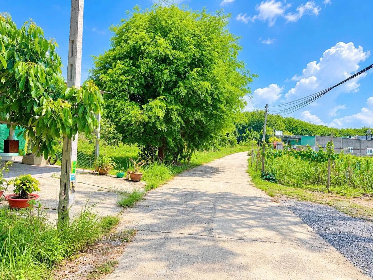 Bán đất 170m² gần ngã tư Chơn Thành, Đồng Nai 389 triệu - Ảnh thu nhỏ 2