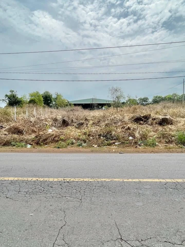 Bán đất mặt tiền 1000m2 Bàu Hàm Đồng Nai 4,7 tỷ - Ảnh thu nhỏ 3