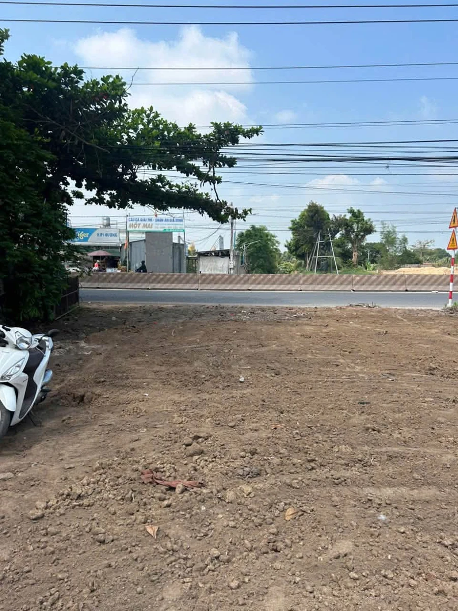 Bán đất mặt tiền Đường 744 Bình Tân 1.300m² - Ảnh thu nhỏ 4