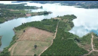 Bán đất view hồ ở Đăk Hà, Kon Tum - Ảnh thu nhỏ 5