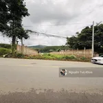 1000m2 bán đất mặt tiền DT725 Tà Nung, Phường Cam Ly Đà Lạt 7,6 tỷ - Ảnh thu nhỏ 2