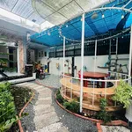 Bán nhà mặt tiền đường 19/5, 182.6m², 2 PN, Bến Tre - Ảnh thu nhỏ 2