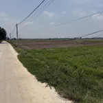1.198m2 đất lúa, quy hoạch phân khu đất ở An Tịnh - Trảng Bàng - Tây Ninh - Ảnh thu nhỏ 2