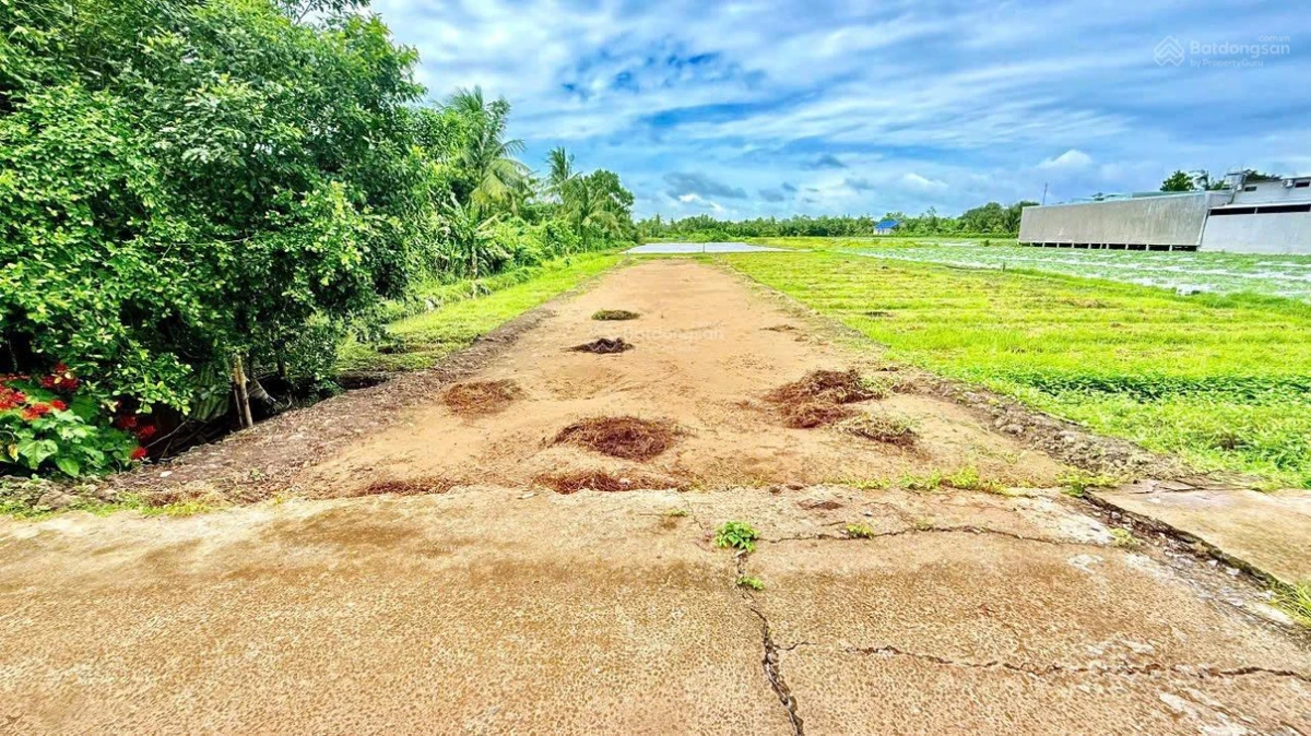 Cách Đại học Nam Cần Thơ 1km, sổ hồng lộ ô tô, Rạch Vinh bán 8 nền liền kề - Ảnh thu nhỏ 4