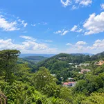 Bán quỹ đất liền kề 2 mặt tiền hàng hiếm Đặng Thái Thân, 17 tỷ, 300m2, view rừng thông vĩnh viễn! - Ảnh thu nhỏ 2