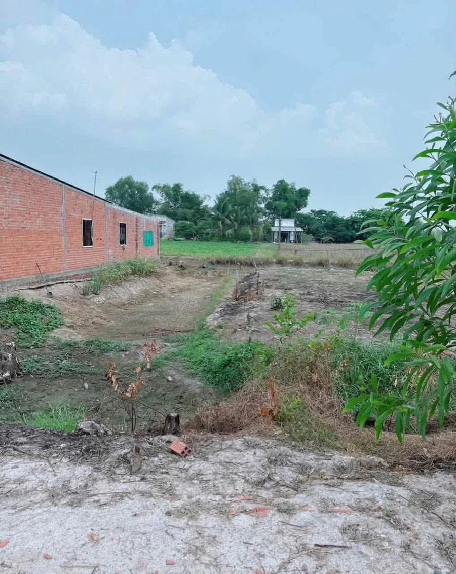Bán lô đất thổ cư 120m² Bình Tân 480 triệu - Ảnh thu nhỏ 2