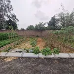 Bán đất 80m2 mặt tiền rộng Phú Sóc Sơn Hà Nội - Ảnh thu nhỏ 1