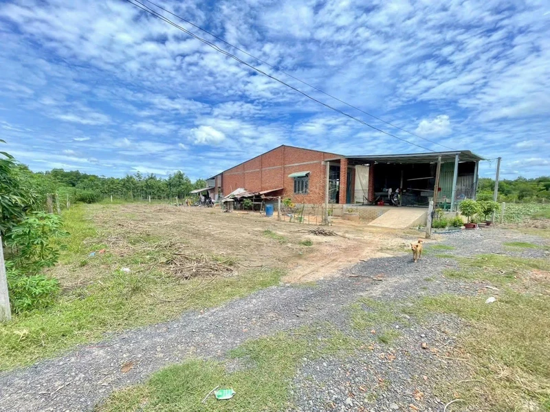 Bán đất nền 506m² Phường Bình Minh, Tây Ninh 319 triệu