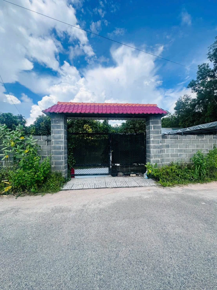 Bán đất làm nhà vườn 466m² Phước Hải Bà Rịa Vũng Tàu - Ảnh thu nhỏ 3