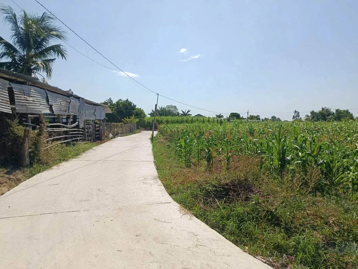 Bán đất nền Ninh Hoà Khánh Hòa 100m² giá 190 triệu - Ảnh thu nhỏ 3