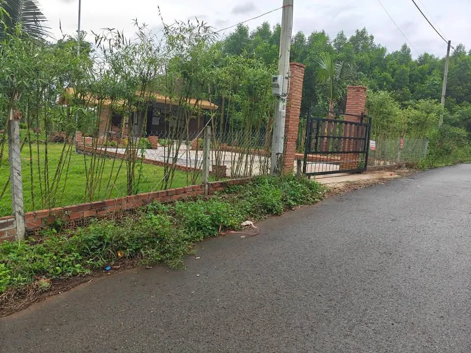 Bán nhà vườn view đẹp 555m² Bàu Chính Nhà Bè - Ảnh thu nhỏ 3
