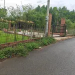 Bán nhà vườn view đẹp 555m² Bàu Chính Nhà Bè - Ảnh thu nhỏ 3