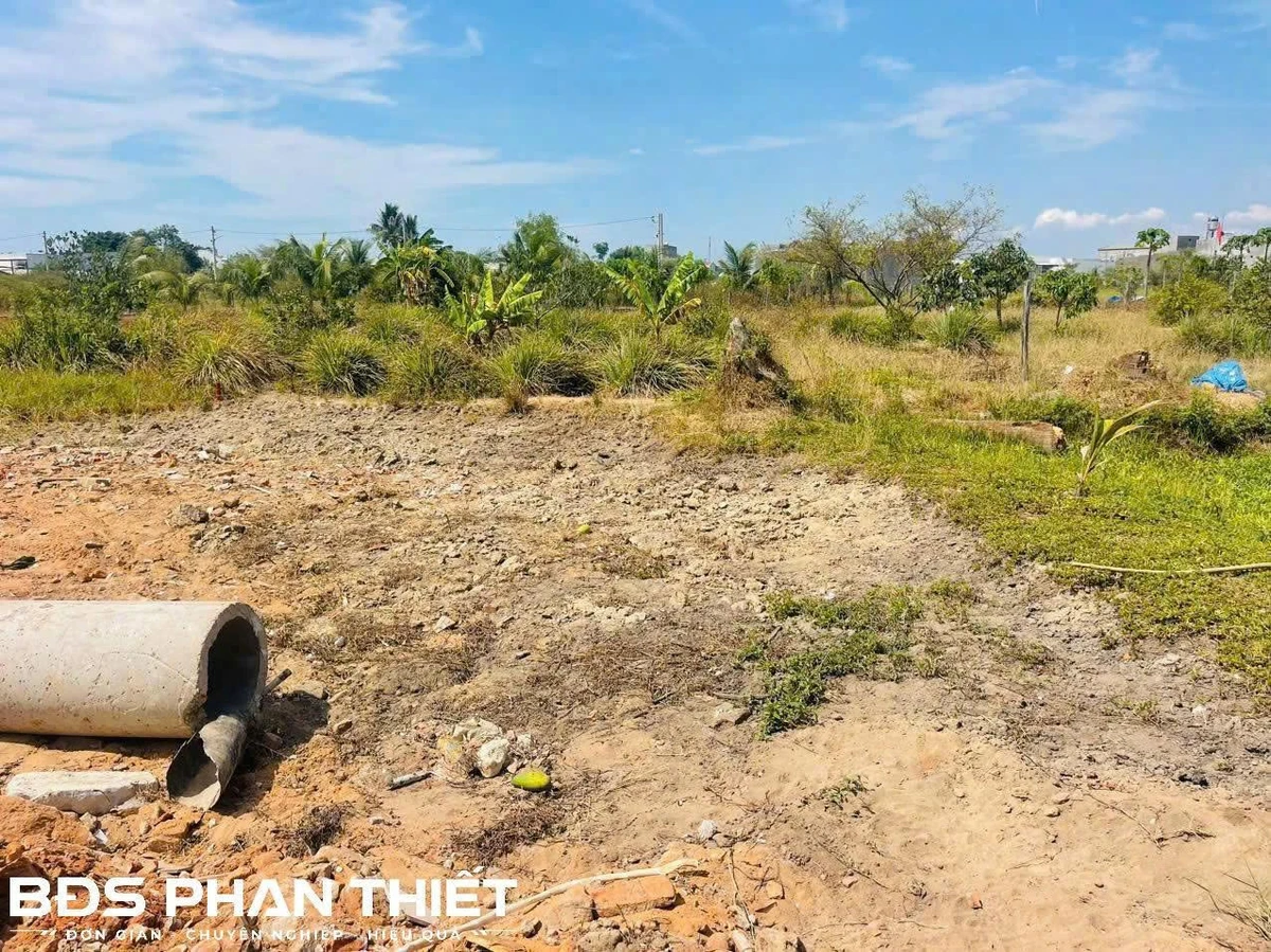 Bán đất 274m² thổ cư Phong Nẫm, 500 triệu - Ảnh 1