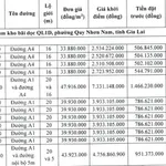 Đấu giá đất khu gara Quyền 75m2 bên Bệnh viện Quốc tế Quy Nhơn - Ảnh thu nhỏ 1