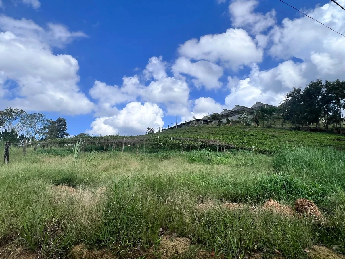 Bán đất view 2 mặt hồ Thủy điện Đại Ninh, Lâm Đồng 5.846 m² - Ảnh thu nhỏ 2
