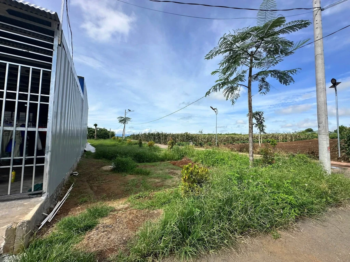 Bán đất thổ cư 72m2 mặt tiền đường nhựa giá 790 triệu tại Bình Thạnh, Đức Trọng - Ảnh 1