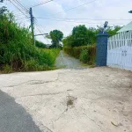 Đất phường Gò Dầu 5x27m full thổ cư 470tr, sổ hồng riêng đường ô tô thông - Ảnh thu nhỏ 19