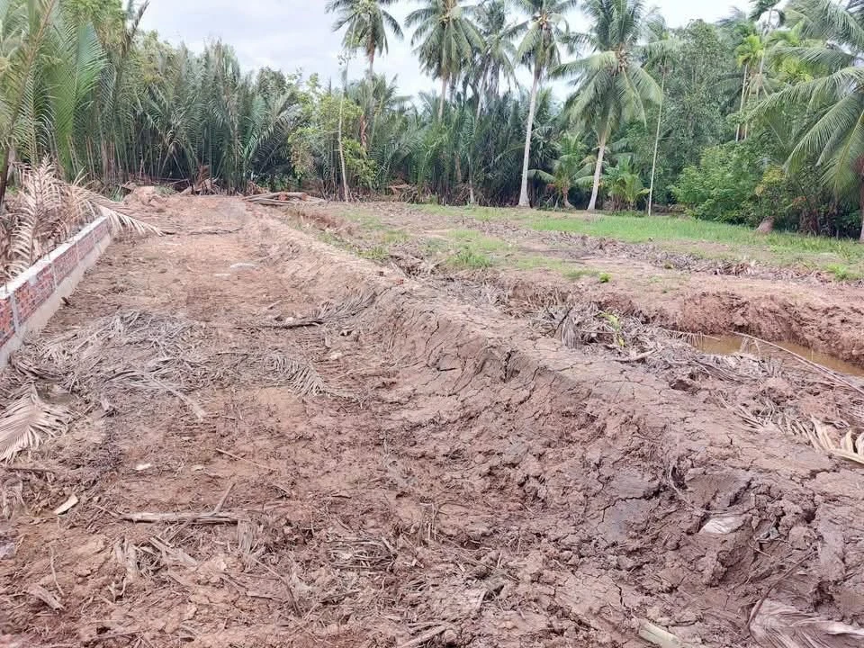 Bán nền đất 384m2 tại Xã Mỹ Thạnh An, Bến Tre - Ảnh thu nhỏ 3