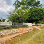Bán đất thương mại Biển Hồ Pleiku 2.127 m² - 4 tỷ 2 - Ảnh thu nhỏ 5