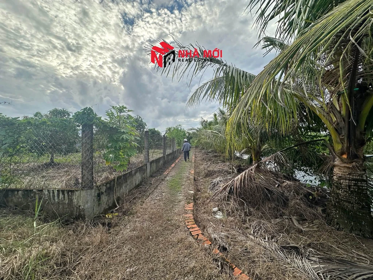 Bán đất vườn 2592m² Cà Mau 1 tỷ 890 triệu - Ảnh 1