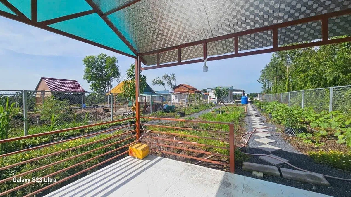 Bán nhà vườn 1.000m² giá 1 tỷ 200 tại Thủ Thừa, Long An - Ảnh thu nhỏ 3