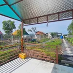 Bán nhà vườn 1.000m² giá 1 tỷ 200 tại Thủ Thừa, Long An - Ảnh thu nhỏ 3