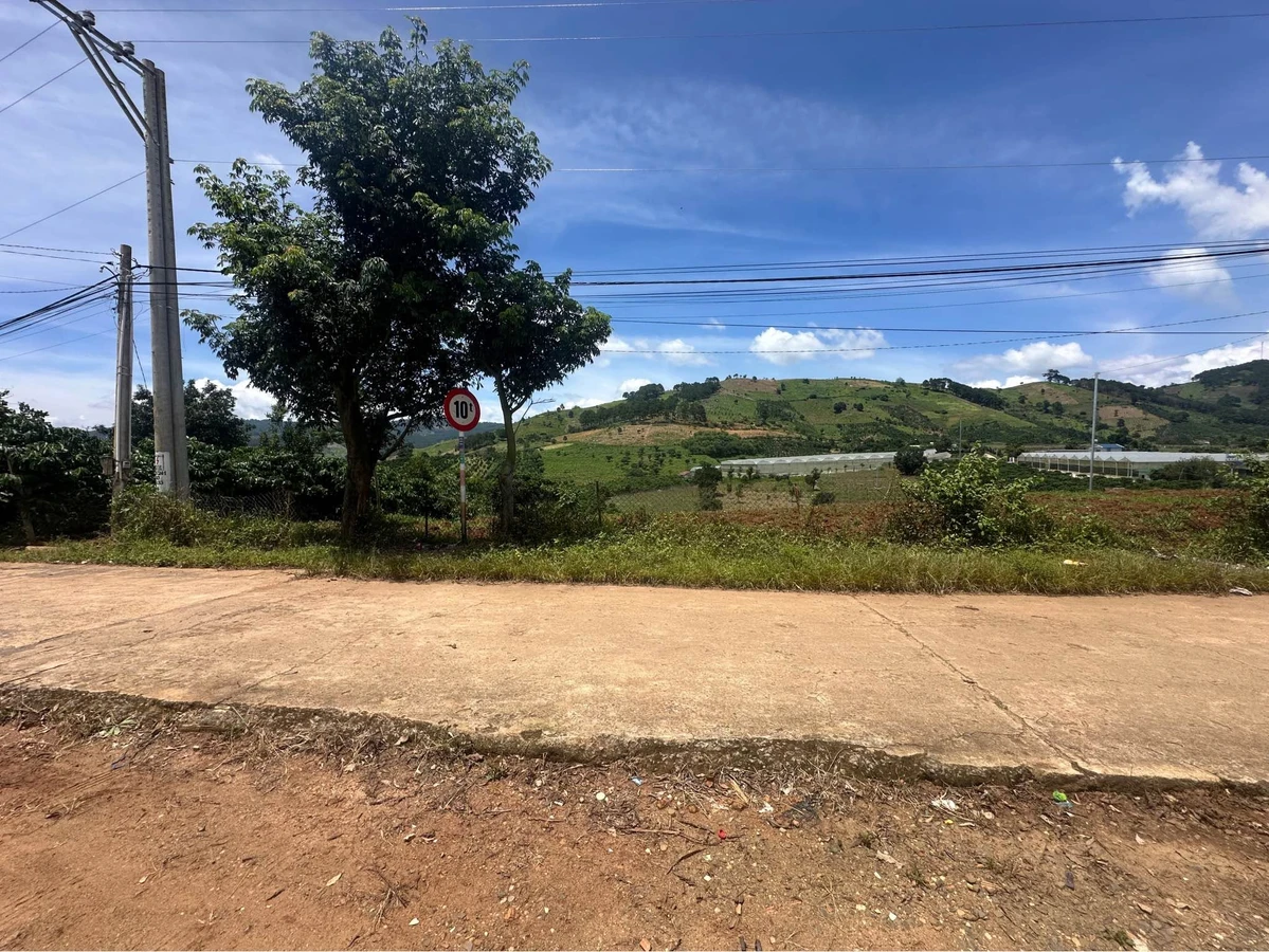 Bán đất view đồi thông Đà Lạt, sẵn sổ, 839m² và 1098m² - Ảnh thu nhỏ 3