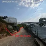 Bán 5.650m² đất trại mát Đà Lạt, 6 tỷ 100, mặt tiền 180m - Ảnh thu nhỏ 1