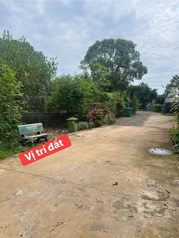 Bán đất Bàu Trâm Long Khánh 301m² sổ riêng 1 tỷ 330