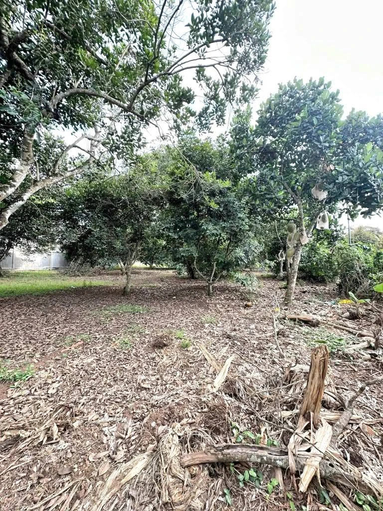 Bán đất 500m² Bảo Vinh Suối Chồn Long Khánh 1,25 tỷ - Ảnh thu nhỏ 3
