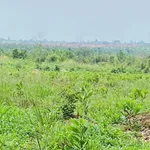 Kẹt tiền nộp học cho con bán nhanh đất vườn view sân bay Long Thành 1.700m2, ngang 21m, sổ đầy đủ - Ảnh thu nhỏ 2