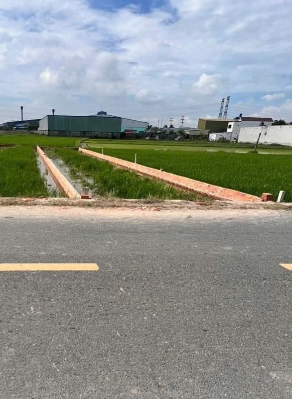Bán đất mặt tiền đường nhựa Đức Hòa Long An 140m² - 1 tỷ 550 triệu