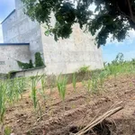 Bán đất nền 1100m² có nhà yến Vĩnh Lợi Bạc Liêu 990tr - Ảnh thu nhỏ 2