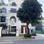Cc gửi bán nhà tại KĐT đẳng cấp Mạnh Đức Victory Từ Sơn, cạnh công viên, giá cực rẻ. LH: 0326 569 *** - Ảnh thu nhỏ 13