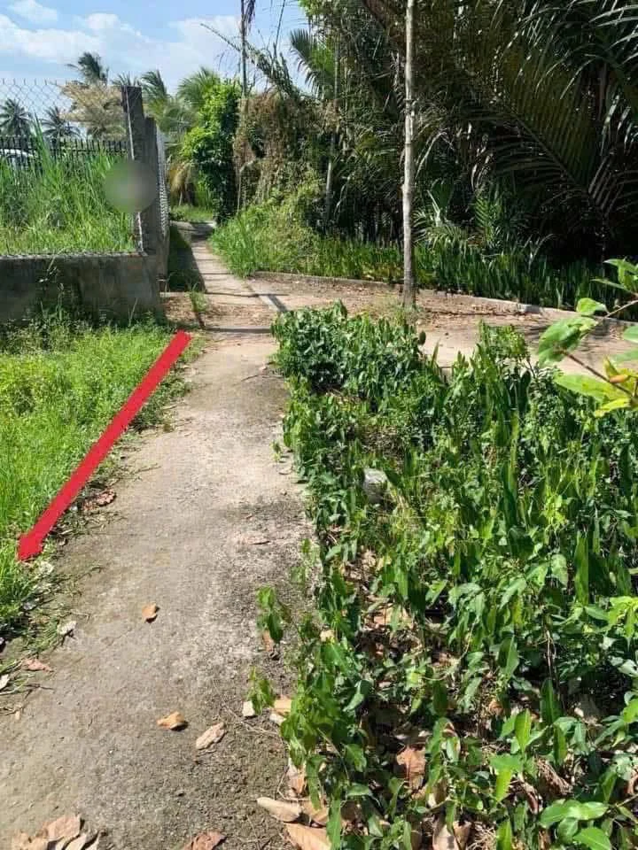 Bán đất 281m2 tại Bến Tre, xã Mỹ Thạnh An - Ảnh thu nhỏ 3