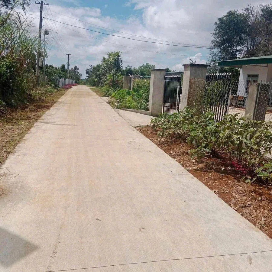 Bán lô đất nền Tân Bình 600m² - Ảnh thu nhỏ 2