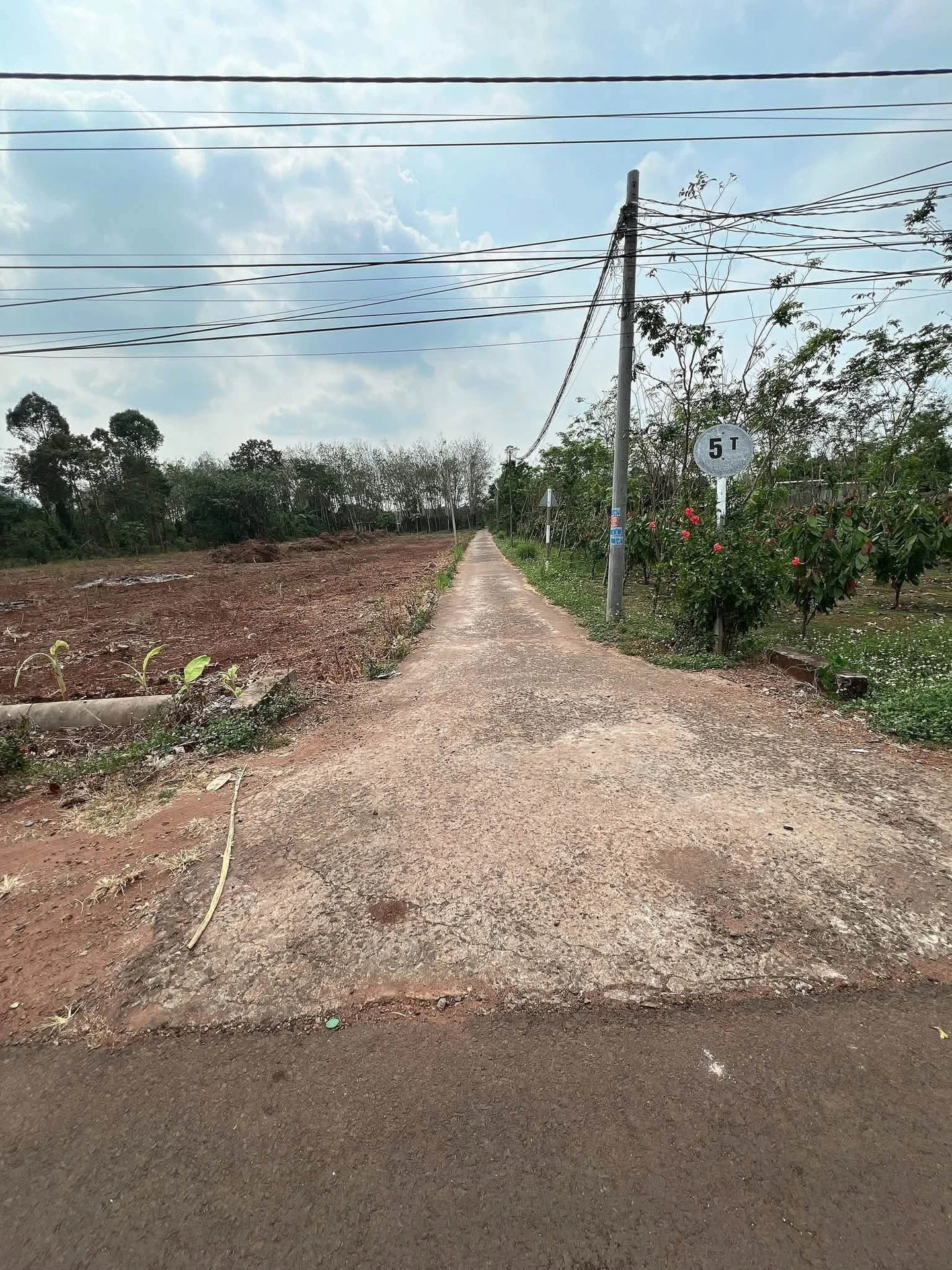 Bán đất Tân Bình 474m² giá 1 tỷ - Ảnh 1