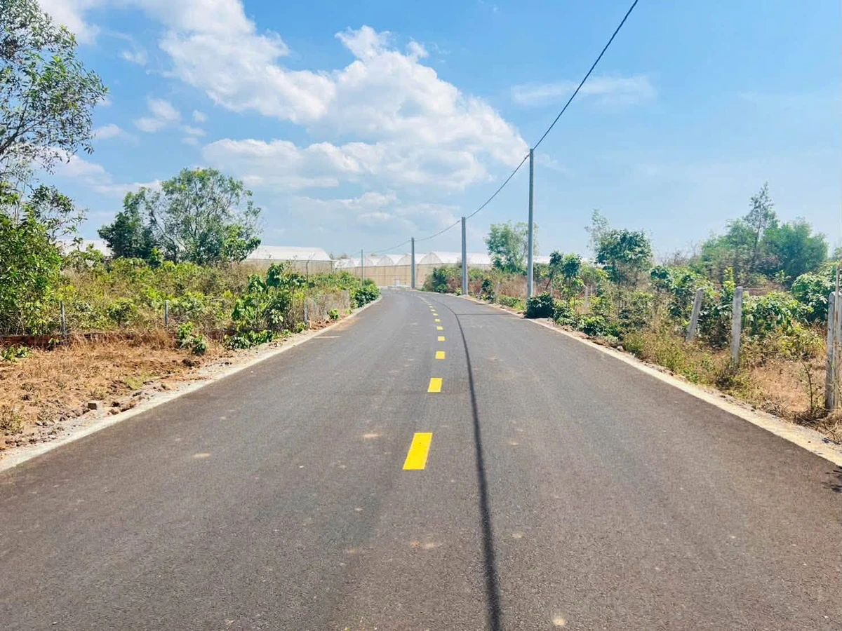 Bán đất mặt tiền 500m2 đường nhựa Nguyễn Bảo Hoá BRVT - Ảnh thu nhỏ 2