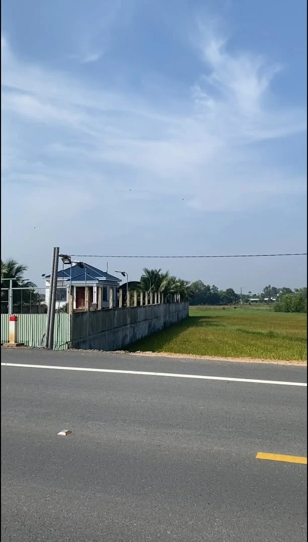 Bán đất mặt tiền đường Hồ Chí Minh 5x50m giá 1 tỷ 3 tại Hậu Nghĩa - Ảnh thu nhỏ 2